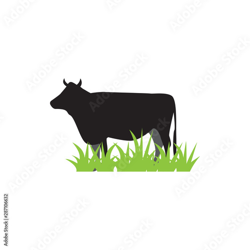 Cow graphic design template vector isolated illustration