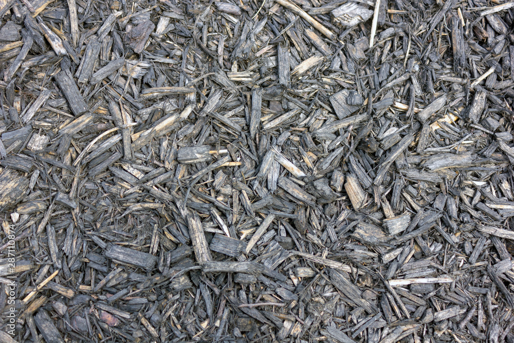 gray texture of pieces of wood sawdust thyrs bark chips closeup gray texture of pieces of wood sawdust thyrs bark chips closeup