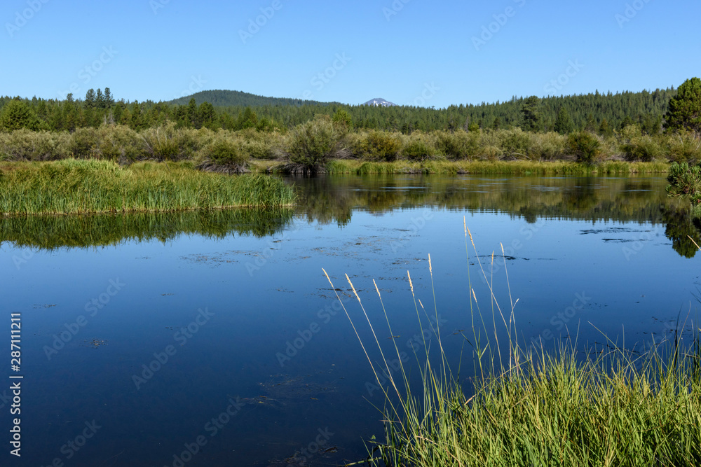 Scenic view of the Deschutes River with trees reflected in the still, blue water.