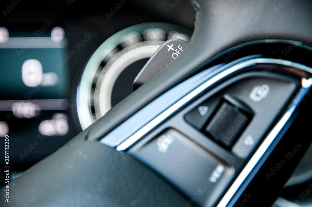 Shift paddle (DSG) + steering wheel controls