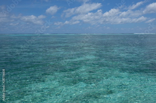 wide green sea horizon under white cloud sunny blue sky in Maldives. coral reefs under shallow clear water
