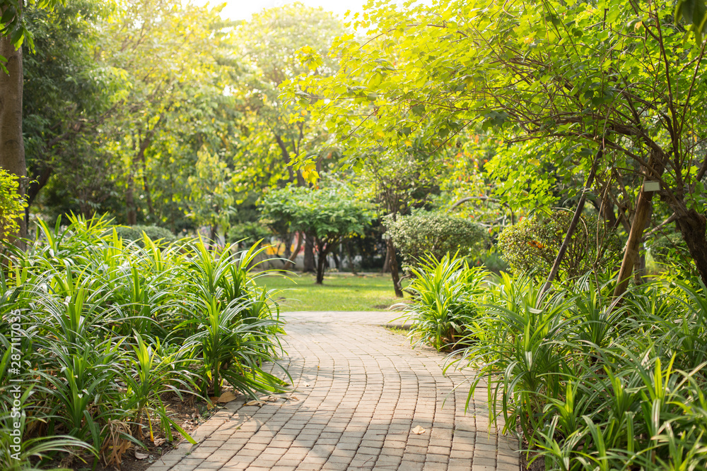Road in the beautiful park  background with sunlight