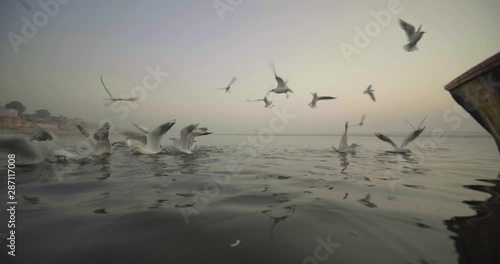 Wallpaper Mural Seagulls flying above Ganges river early morning at sunrise in Varanasi in slow motion, India Torontodigital.ca