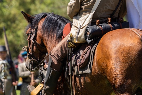 Fényképezés Horse and rider during an American Civil War Re-enactment