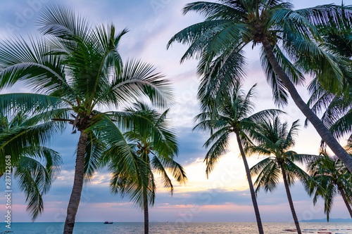 Tropical beach with coconut palm trees at pattaya thailand © Meawstory15Studio