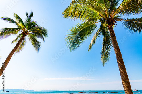 Fototapeta Naklejka Na Ścianę i Meble -  Tropical beach with coconut palm trees at pattaya thailand