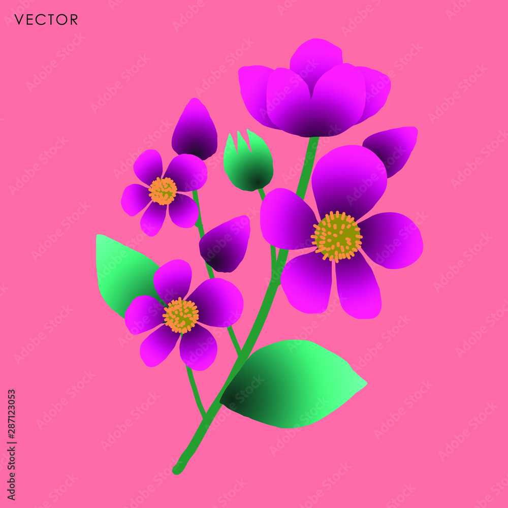 Wild flower isolate, Vector illustration design element