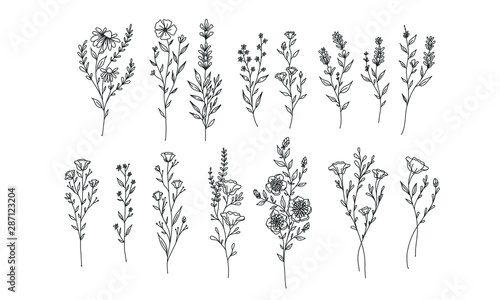set of flower lineart for wedding and vintage decoration, floral illustration vector