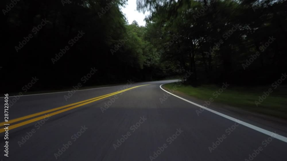 Early Morning on Treelined Mountain road Early Morning on Treelined Mountain road