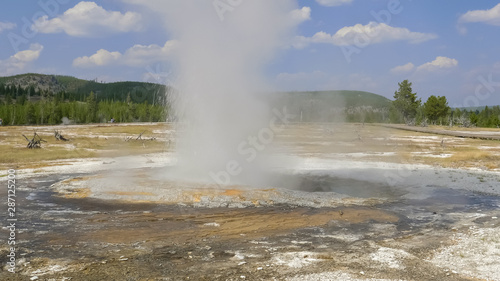 jewel geyser erupting in yellowstone national park, usa
