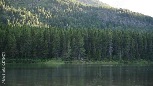Fishercap Lake Wide Shot With Moose Swimming photo