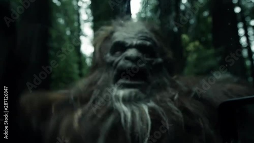Bigfoot Monster Attacks Car Window in Forest