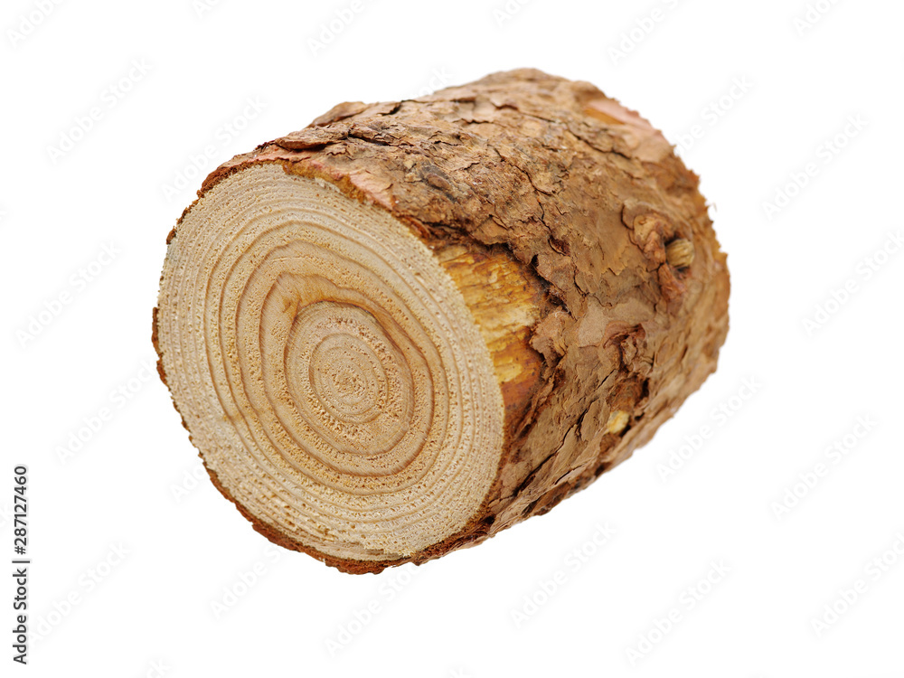 Obraz premium Pine logs on white background