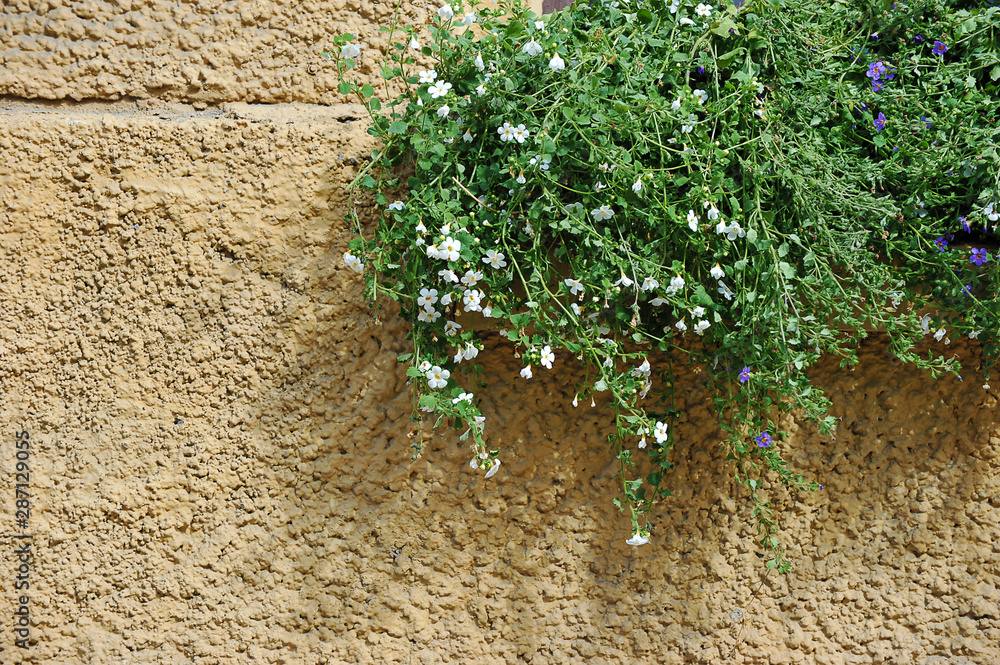 flowers and greenery on yellow wall background