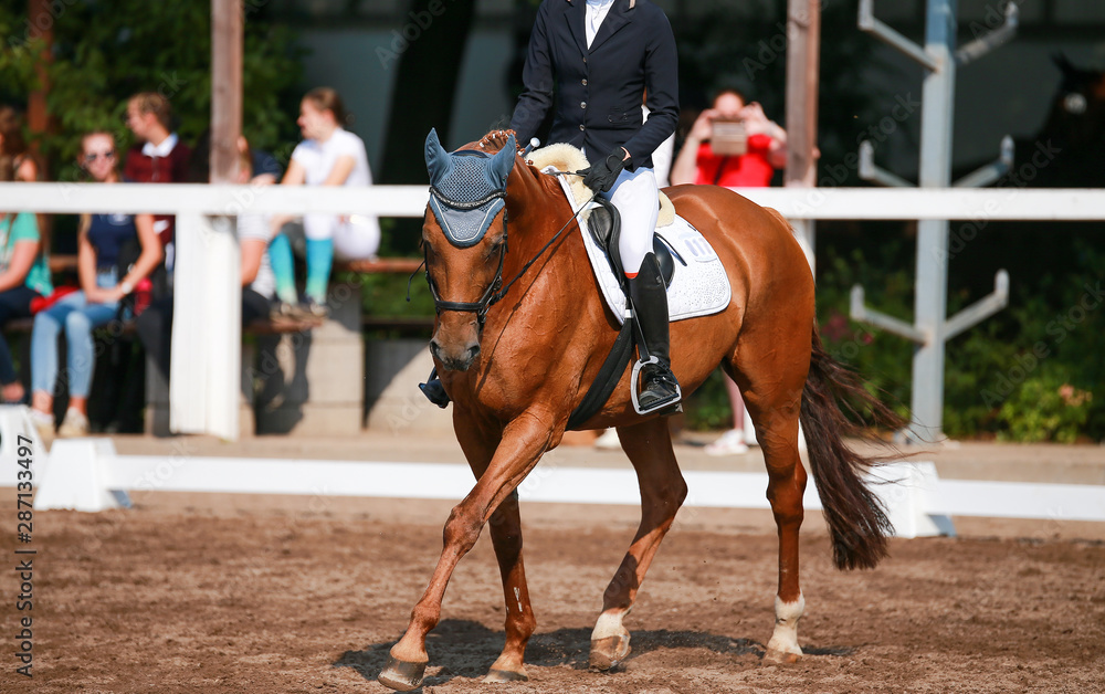 Horse (dressage horse) with rider on a horse show during a dressage competition.. Horse (dressage horse) with rider on a horse show during a dressage competition..