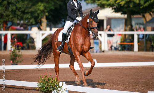 Horse (dressage horse) with rider on a horse show during a dressage competition..