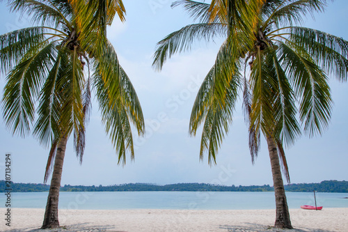 Coconut palm tree with kayak on the beach. © nuruddean