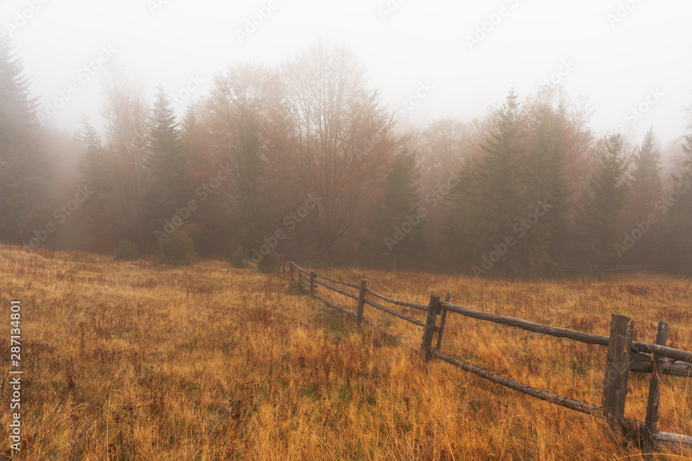 A beautiful autumn dawn in the Ukrainian Carpathian Mountains, with fogs in the valleys and forests, and yellow-red trees. A beautiful autumn dawn in the Ukrainian Carpathian Mountains, with fogs in the valleys and forests, and yellow-red trees.