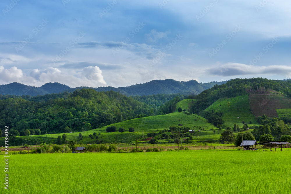 Landscape of rice field and mountains view in Thailand.