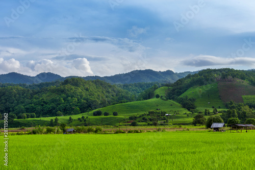 Landscape of rice field and mountains view in Thailand.