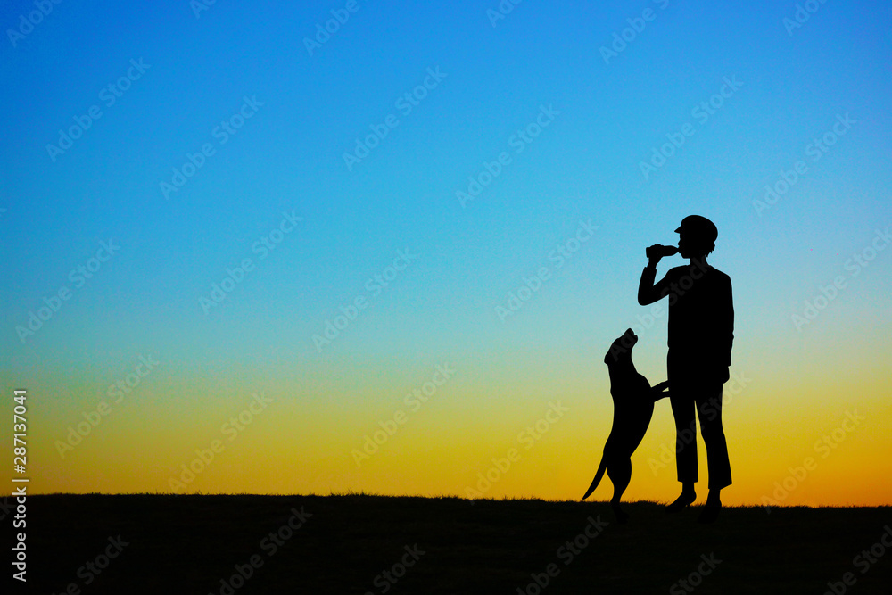 夕暮れの丘で犬の散歩をしている人