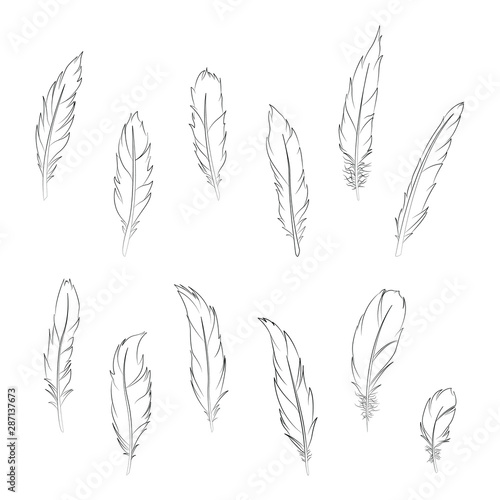 Feathers line art vector set, different simple feather clip art.