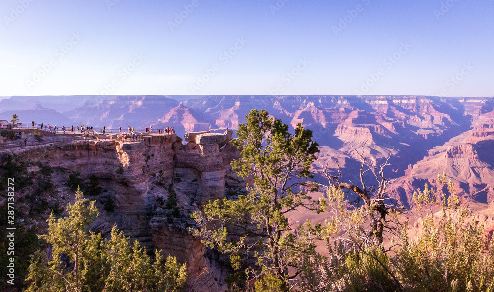 Looking pass the beautiful trees on the rim and into the depths of the glorious Grand Canyon at the south rim is inspirational thinking about the geology and years it has taken this scenic wonder to f