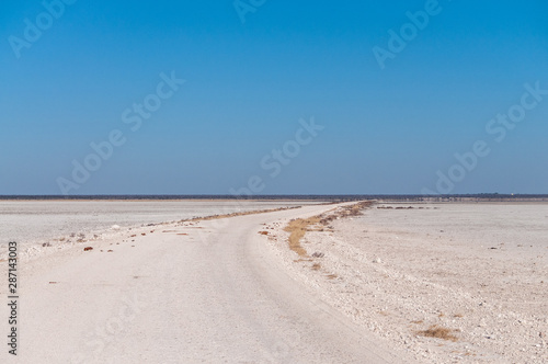 An overview of the empty space of the Etosha salt pan  Ethosha National Park  Namibia.