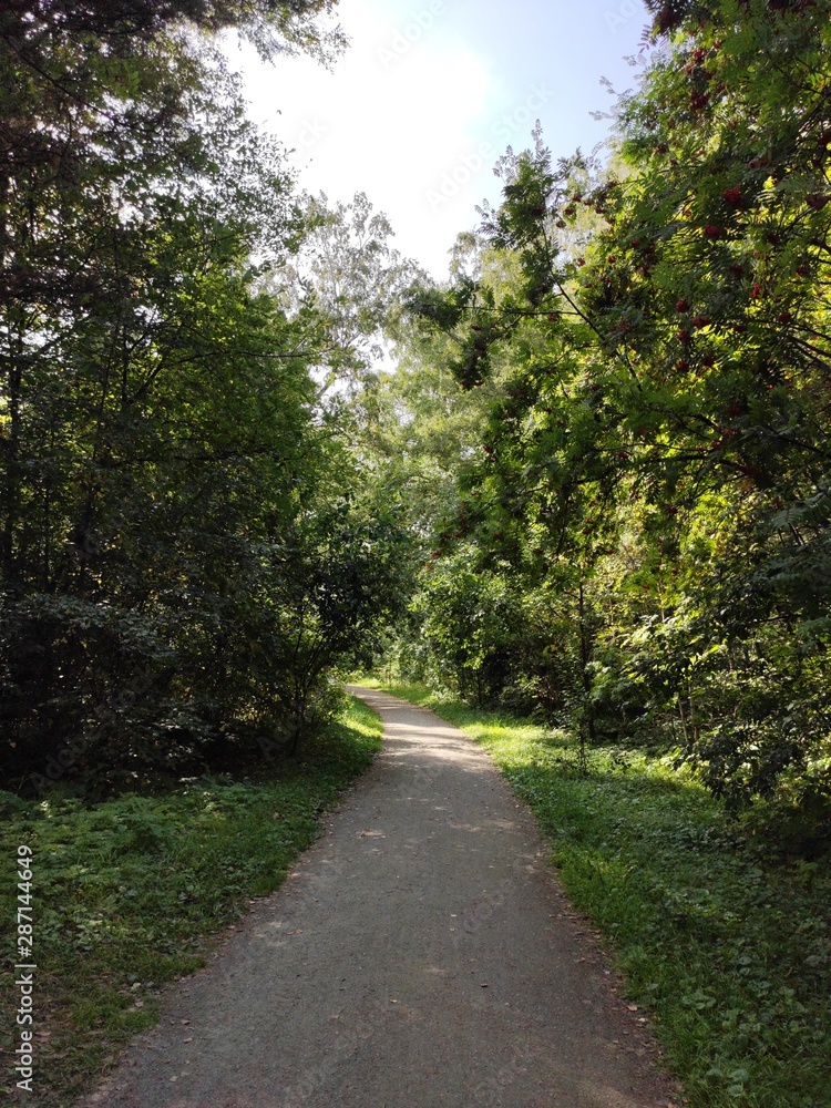 path in the park