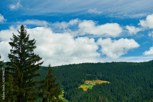 Beautiful summer landscape - countryside on hills with spruces, cloudy sky at bright sunny day. Village with wooden homes. Carpathian mountains. Ukraine. Europe. Travel background.