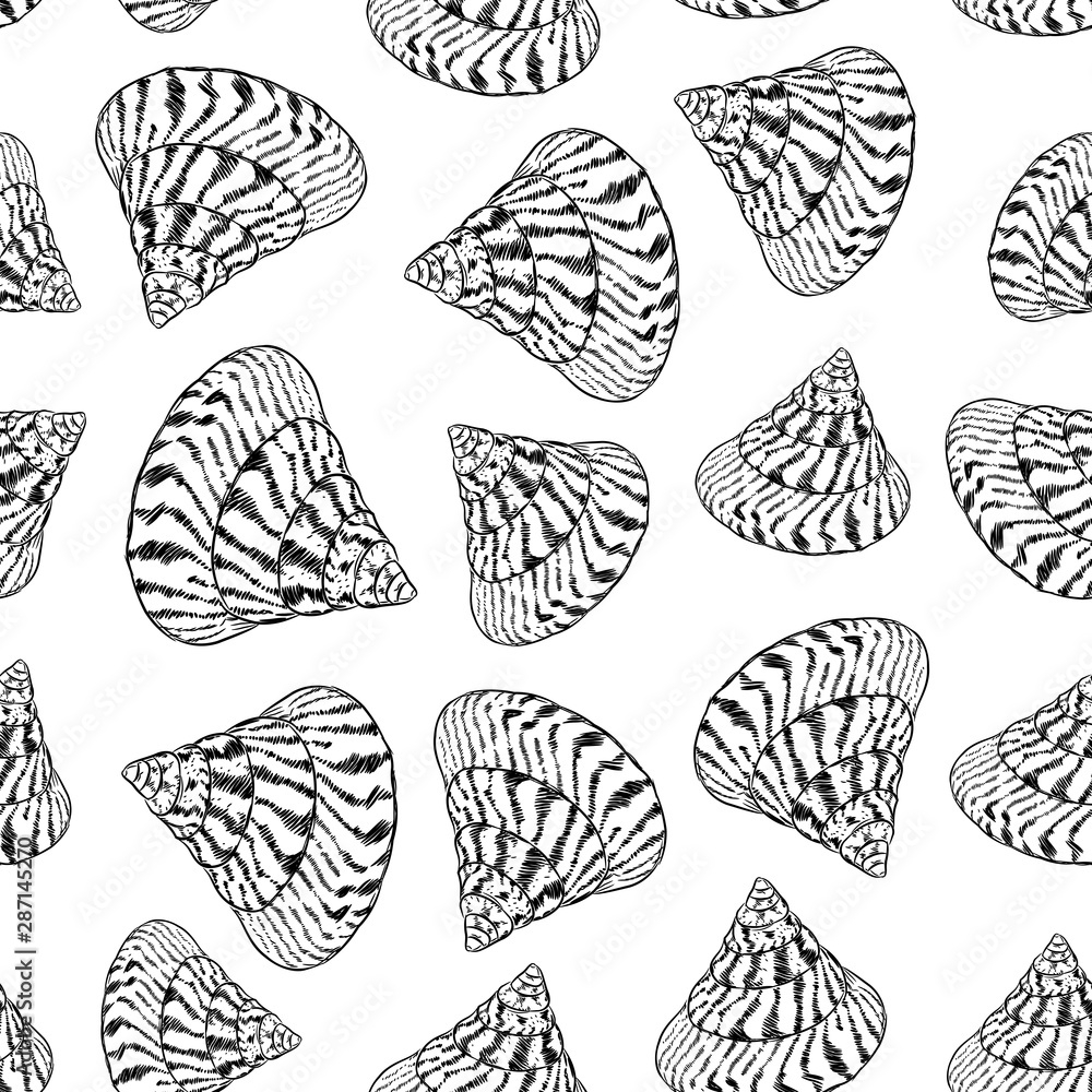 Summer concept with Unique museum sea shells sea snails. Sketch black contour isolated on white background. Can be used for fabrics, wallpapers. Vector Summer concept with Unique museum sea shells sea snails. Sketch black contour isolated on white background. Can be used for fabrics, wallpapers. Vector