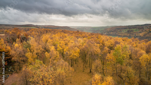 Amazing view over the top of Silver Birch forest with golden leaves in Autumn Fall landscape scene of Upper Padley gorge in Peak District in England