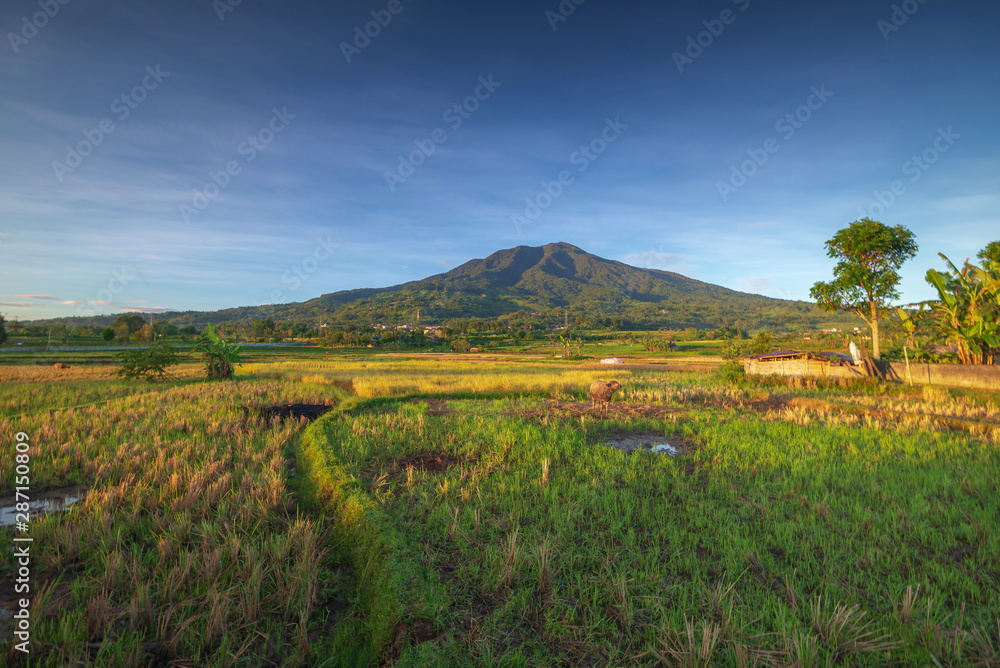 Natural landscape Photos at Padang Sumbar Wonderful Indonesia