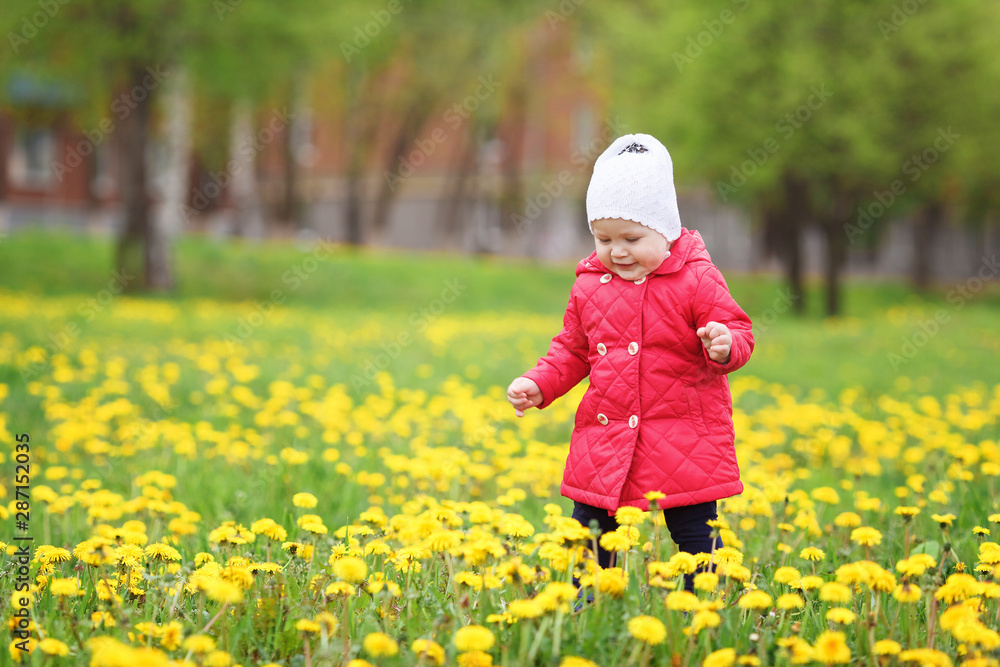 Beautiful little girl is walking in a field of yellow dandelions. Happy little girl walking in the park Beautiful little girl is walking in a field of yellow dandelions. Happy little girl walking in the park