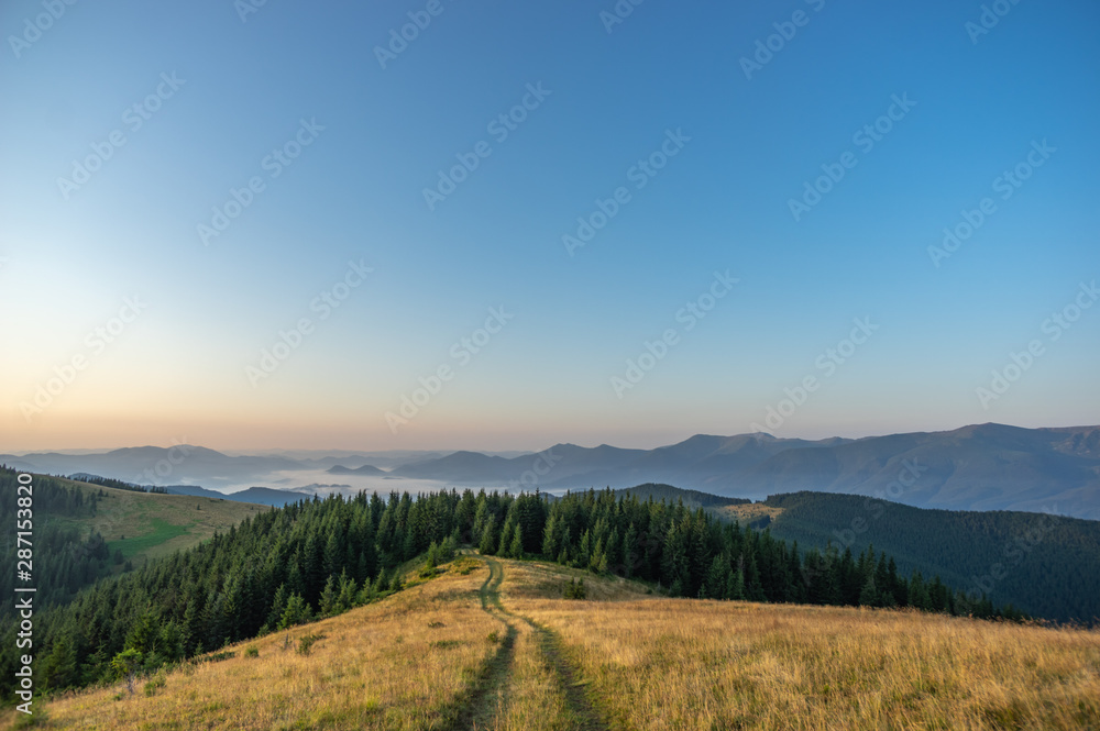 The road in the Carpathian mountains