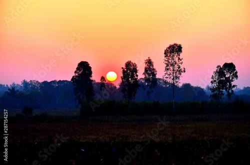 sunrise in the forest hdr image