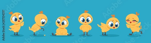 Cute baby chicken. Cartoon yellow chick bird character, funny poultry animal isolated set. Vector illustration young little cute chickens for kid on blue background