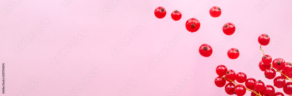 Red currant berries are falling on a pink background. Red currant berries are falling on a pink background.