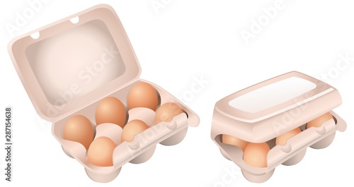 Set of Chicken Eggs in Boxes on White Background