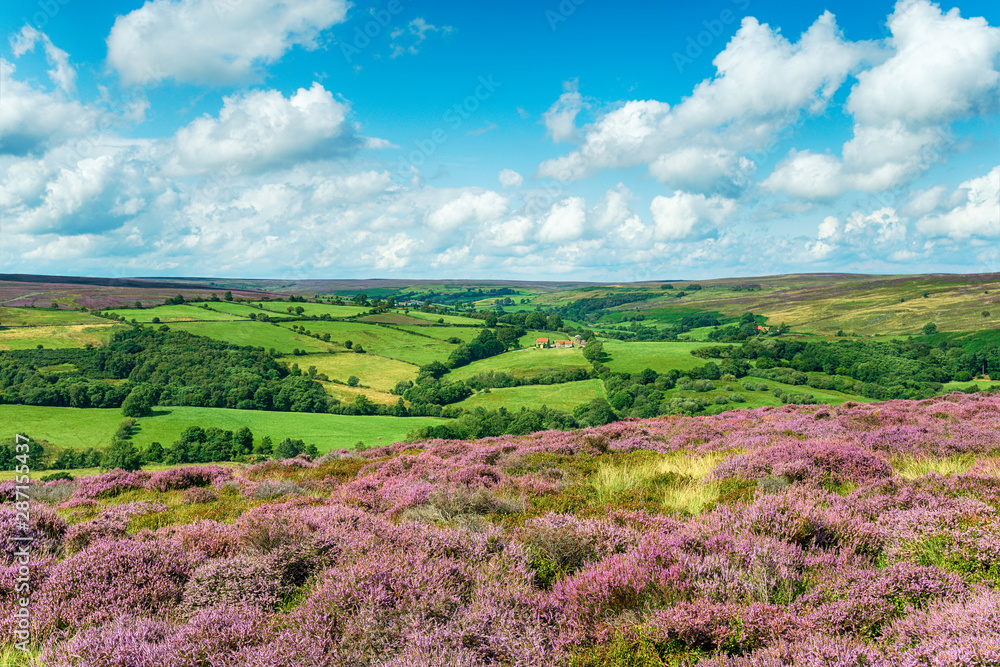 The view from Castleton in the North York Moors The view from Castleton in the North York Moors