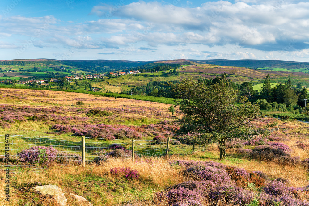 North York Moors National Park in Yorkshire, looking out the village of Castleton North York Moors National Park in Yorkshire, looking out the village of Castleton