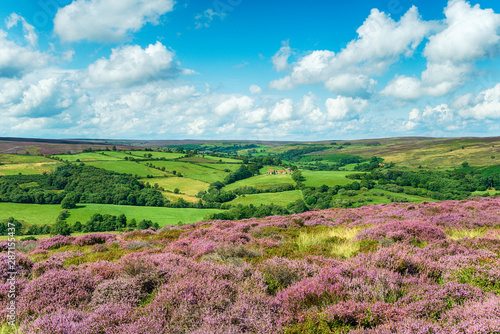 Fotografie The view from Castleton in the North York Moors