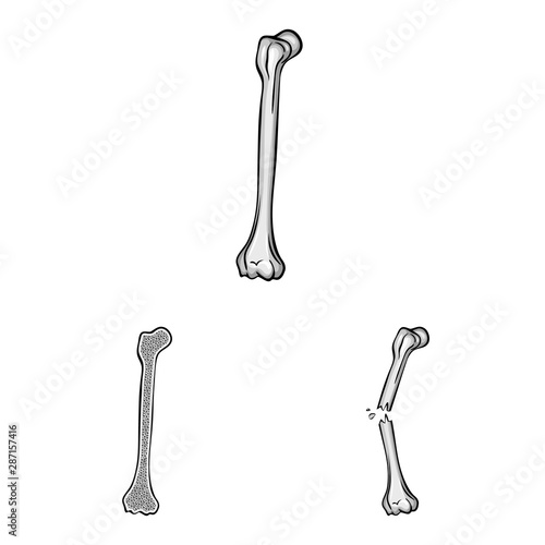 Vector design of biology and medical logo. Set of biology and skeleton stock vector illustration.