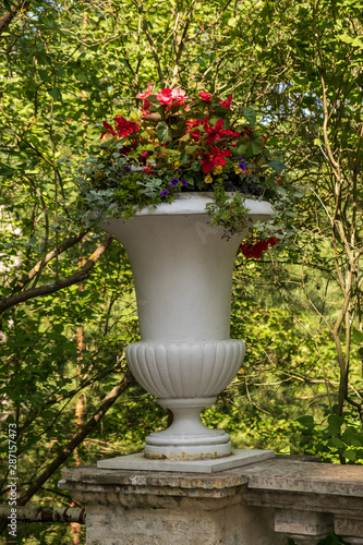 Pavlovsk Park, St. Petersburg, amphora with flowers in the palace gardens photo