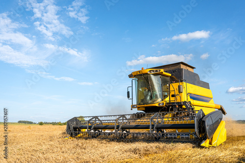 Photo of yellow combine harvesting wheat  blue sky.