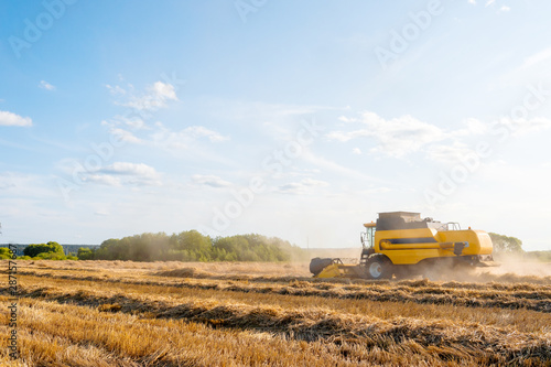 Wallpaper Mural Photo of wheat field working combine harvester, blue sky. Torontodigital.ca