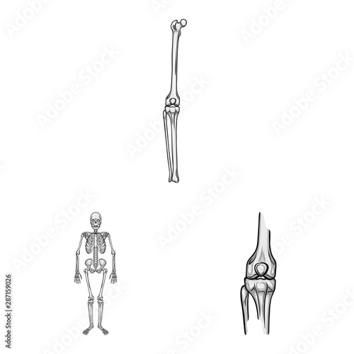 Vector design of biology and medical symbol. Set of biology and skeleton stock symbol for web.