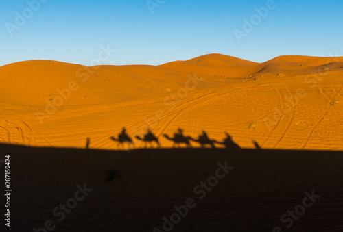 Camels caravan shadows projected over Erg Chebbi desert sand dunes at Morocco