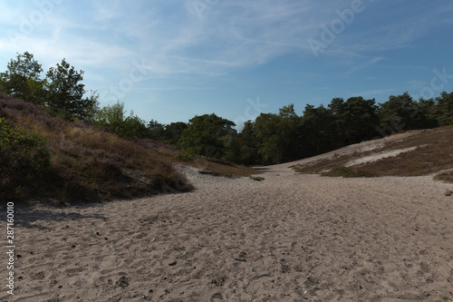 The Brunsummerheide a national park in South Limburg a hotspot for outdoor activities like walking  hiking  mountain biking  running and an active lifestyle