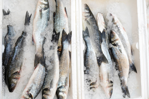 frozen fish in white containers in supermarket photo